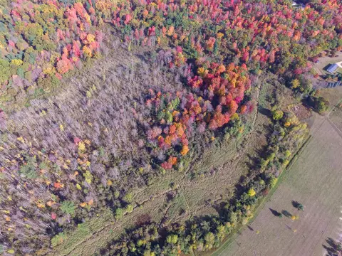 21 St Dr, Wild Rose, WI 54984 photo 36