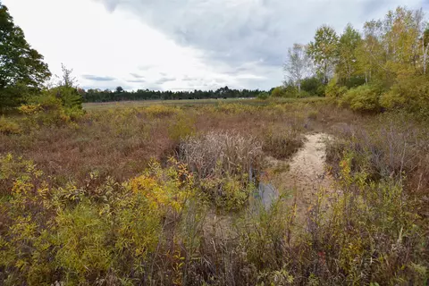 21 St Dr, Wild Rose, WI 54984 photo 26