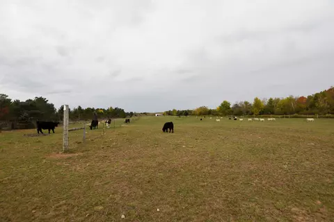 21 St Dr, Wild Rose, WI 54984 photo 22