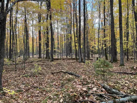 Barker Road, Amberg, WI 54112