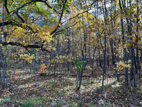 10886 Dall Ln, Suring, WI 54174 photo 8