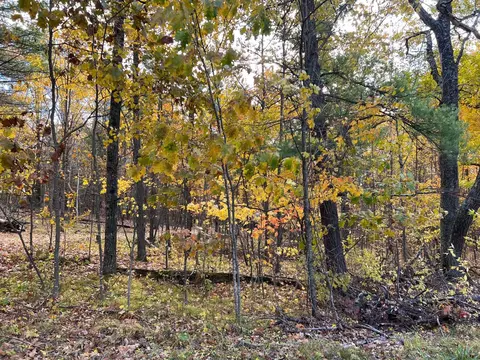 10886 Dall Ln, Suring, WI 54174 photo 7