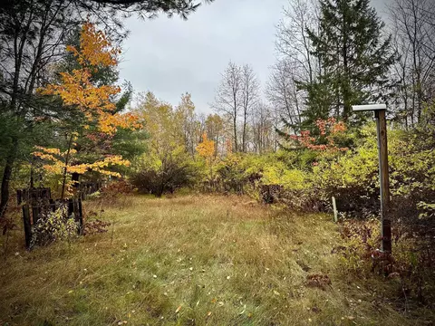17227 Emma Lea Ln #1, Lakewood, WI 54138