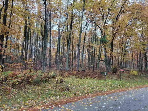 10900 Old 64 Rd, Pound, WI 54161