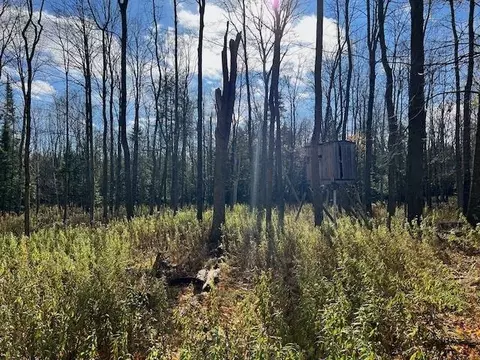 Co Rd 348, Stephenson, MI 49887 photo 5