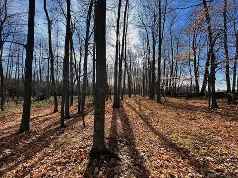 Co Rd 348, Stephenson, MI 49887 photo 9