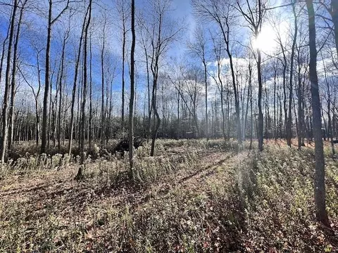 Co Rd 348, Stephenson, MI 49887 photo 8