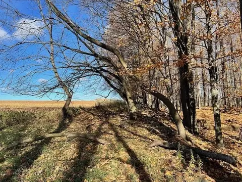 Co Rd 348, Stephenson, MI 49887 photo 4