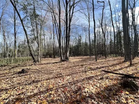 Co Rd 348, Stephenson, MI 49887 photo 7