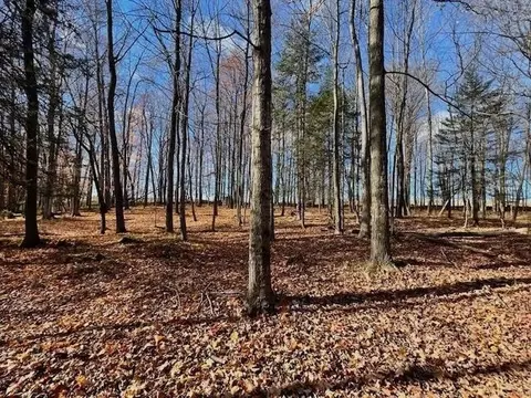 Co Rd 348, Stephenson, MI 49887 photo 6