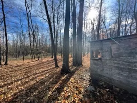 Co Rd 348, Stephenson, MI 49887 photo 10