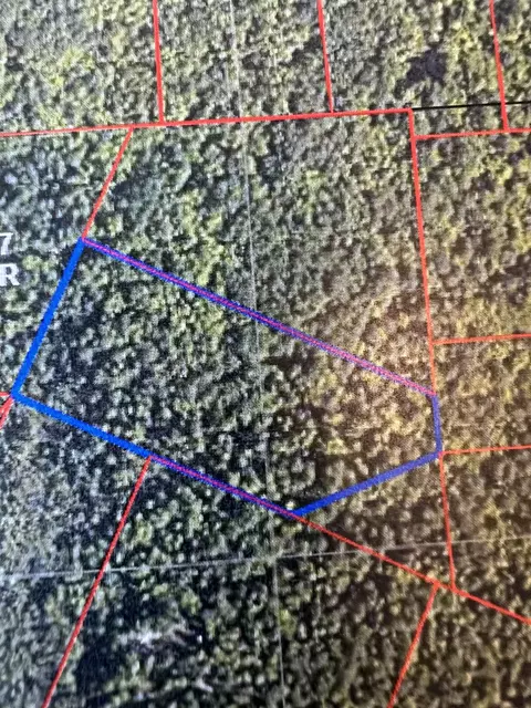 Miscauno Island Lane, Daggett, MI 49821