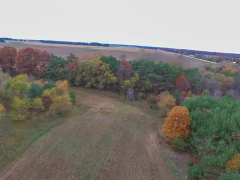 11 Th Dr, Plainfield, WI 54966 photo 23