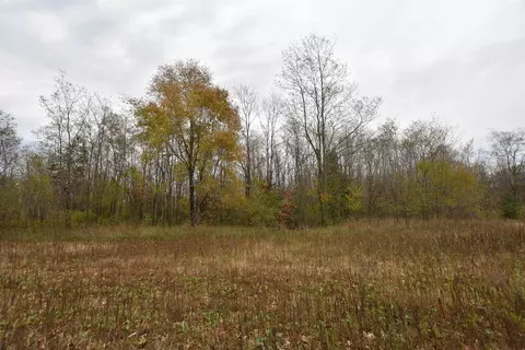 11 Th Dr, Plainfield, WI 54966 photo 54