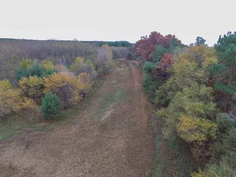 11 Th Dr, Plainfield, WI 54966 photo 32
