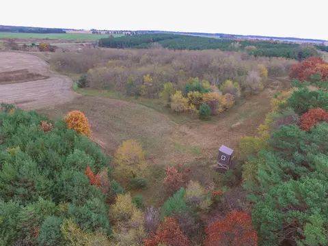 11 Th Dr, Plainfield, WI 54966 photo 25