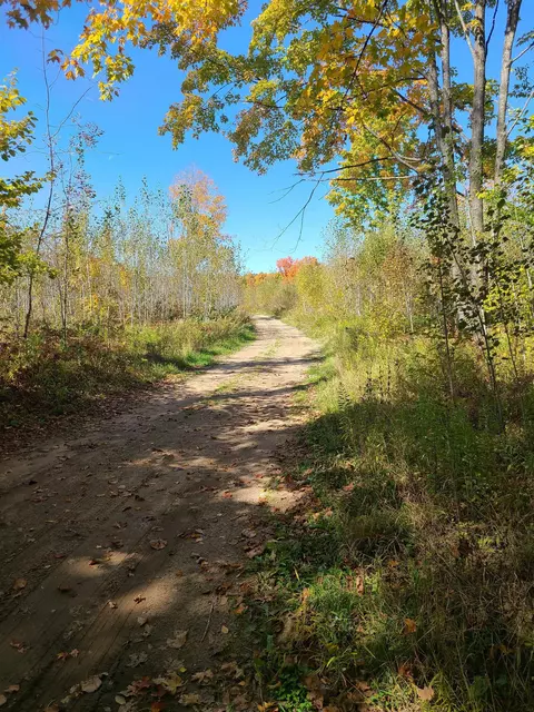 County Hwy C, Athelstane, WI 54104