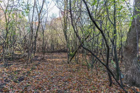 Draeger Road, Waupaca, WI 54981