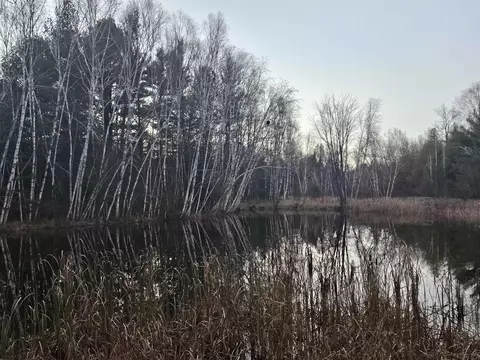 13345 Pine Rd, Suring, WI 54174 photo 9