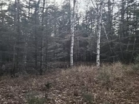 13345 Pine Rd, Suring, WI 54174 photo 6