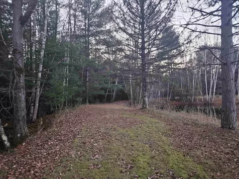 13345 Pine Rd, Suring, WI 54174 photo 10