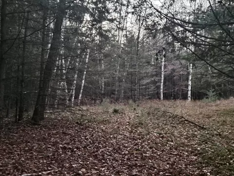 13345 Pine Rd, Suring, WI 54174 photo 7