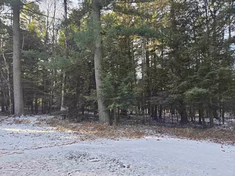 13345 Pine Rd, Suring, WI 54174 photo 16