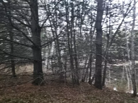 13345 Pine Rd, Suring, WI 54174 photo 5