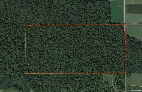 Hillview Road, Gresham, WI 54128 photo 22