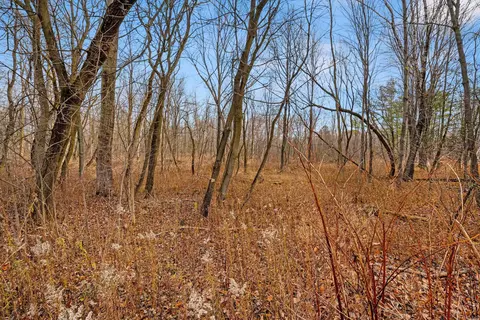 Red Tail Lane, Sobieski, WI 54171 photo 31
