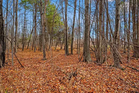 Red Tail Lane, Sobieski, WI 54171 photo 30