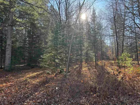 12965 Sheep Ranch Rd, White Lake, WI 54491 photo 20