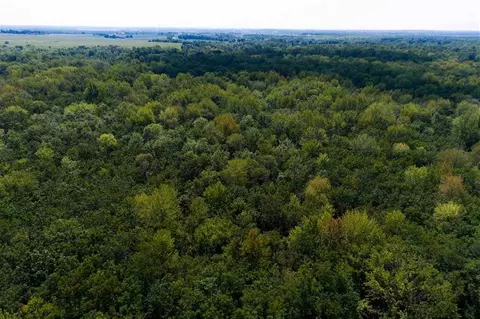 Hwy 96, Dale, WI 54931