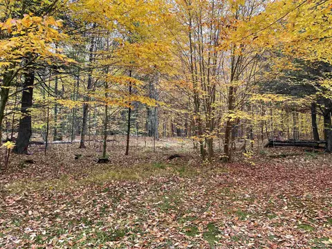 Old J Road, Athelstane, WI 54104