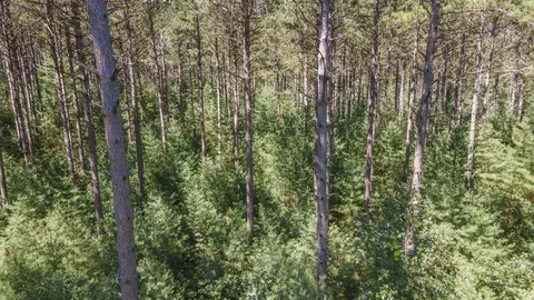 Buttercup Drive, Wautoma, WI 54982