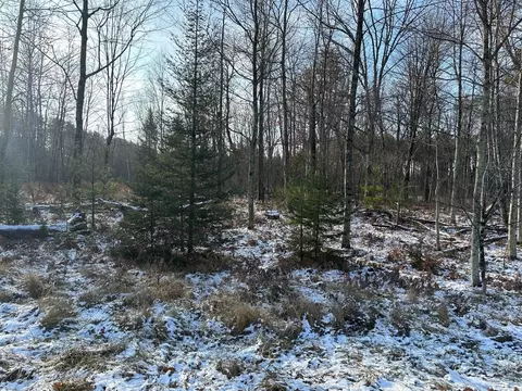 jankowski road, Crivitz, WI 54104 photo 8