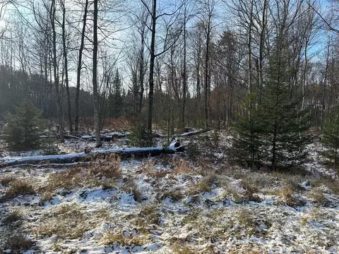 jankowski road, Crivitz, WI 54104