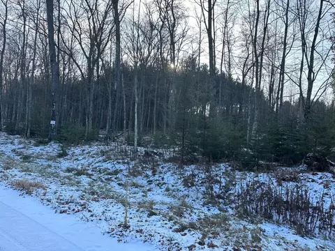 jankowski road, Crivitz, WI 54104 photo 9