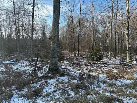 jankowski road, Crivitz, WI 54104 photo 7