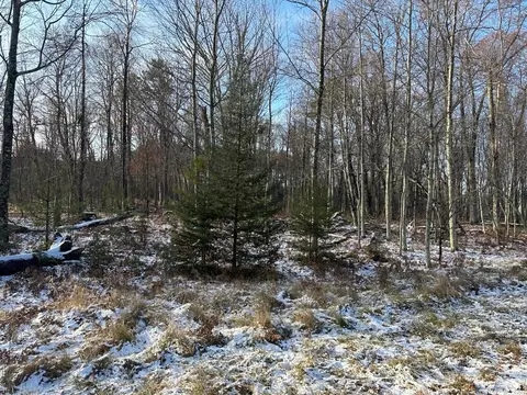 jankowski road, Crivitz, WI 54104 photo 6