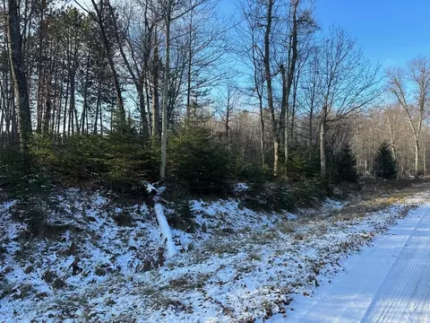jankowski road, Crivitz, WI 54104 photo 4