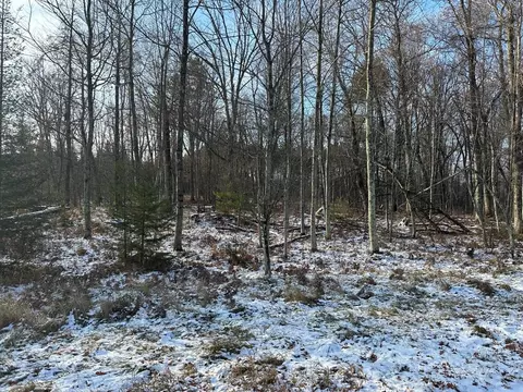 jankowski road, Crivitz, WI 54104 photo 2