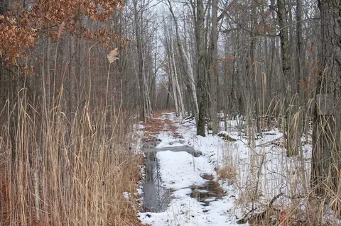 0 Bell Bridge Rd, Oconto, WI 54153