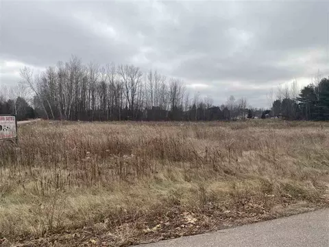 Mader Street, Gresham, WI 54128 photo 3