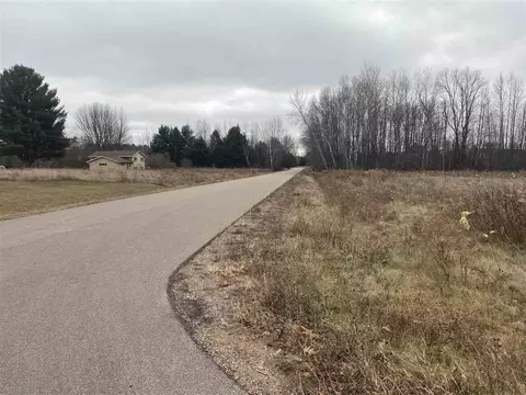 Mader Street, Gresham, WI 54128 photo 5