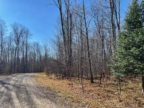 Clemens Lane, Laona, WI 54541