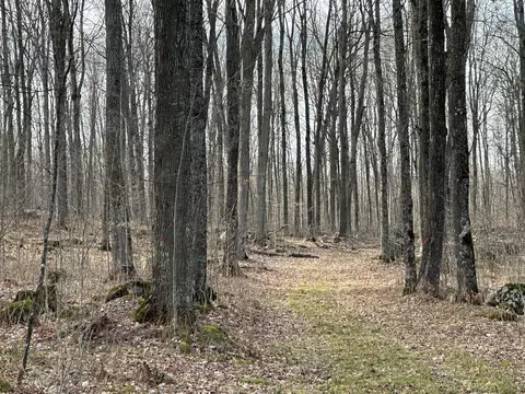 Dent Creek Road, Tigerton, WI 54486