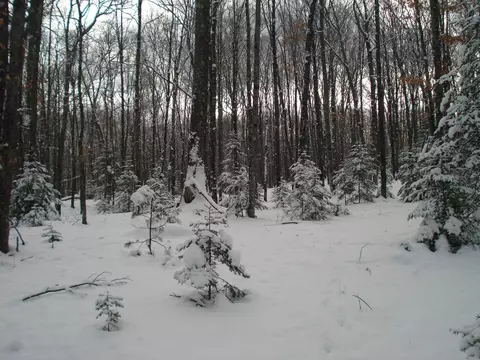 2580 Geline Rd, Eagle River, WI 54521 photo 7