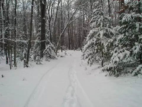 2580 Geline Rd, Eagle River, WI 54521 photo 8