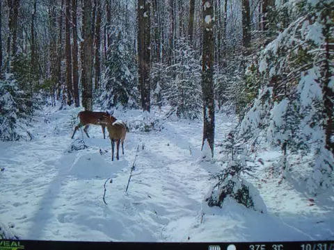 2580 Geline Rd, Eagle River, WI 54521 photo 24
